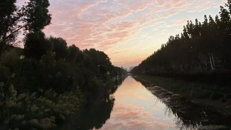 代账公司资质查不到，问题可能出在哪儿